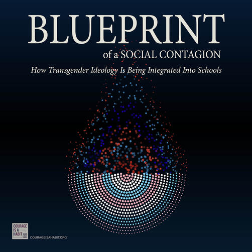 Blueprint of a Social Contagion