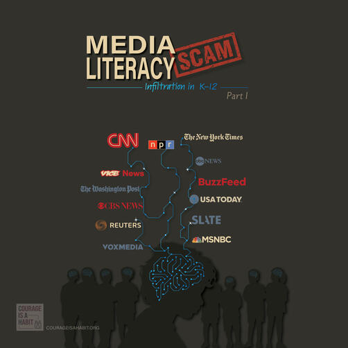 Media Literacy Scam: K-12