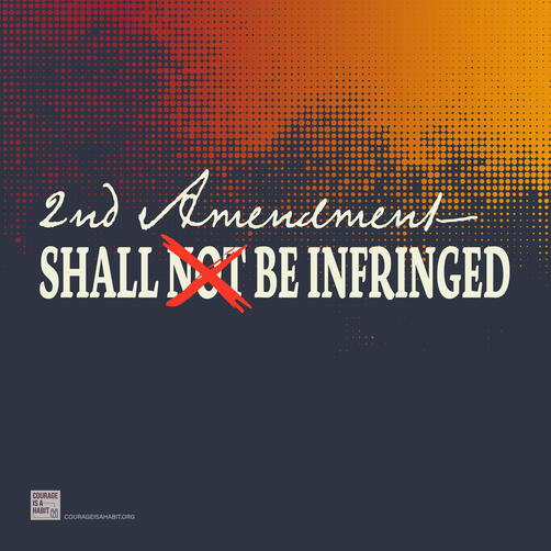2A: Shall Be Infringed