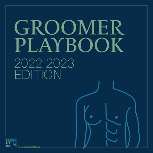 Groomer Playbook 2002-2023