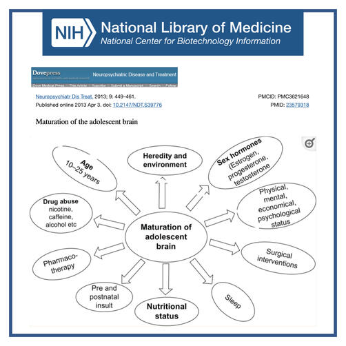 Maturation of the Adolescent Brain