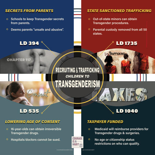 Infographics Download