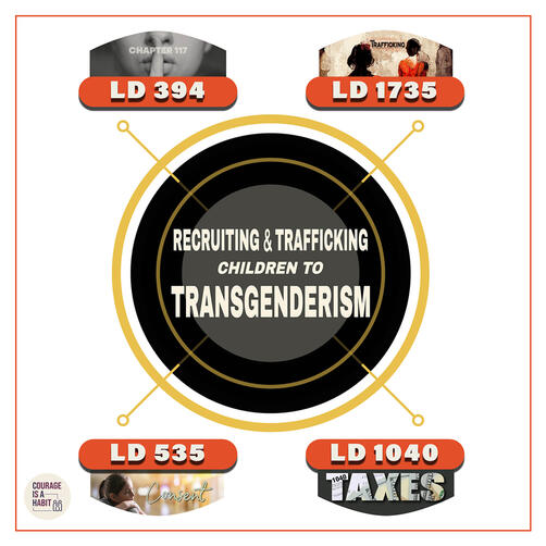 Trafficking Children To Transgenderism